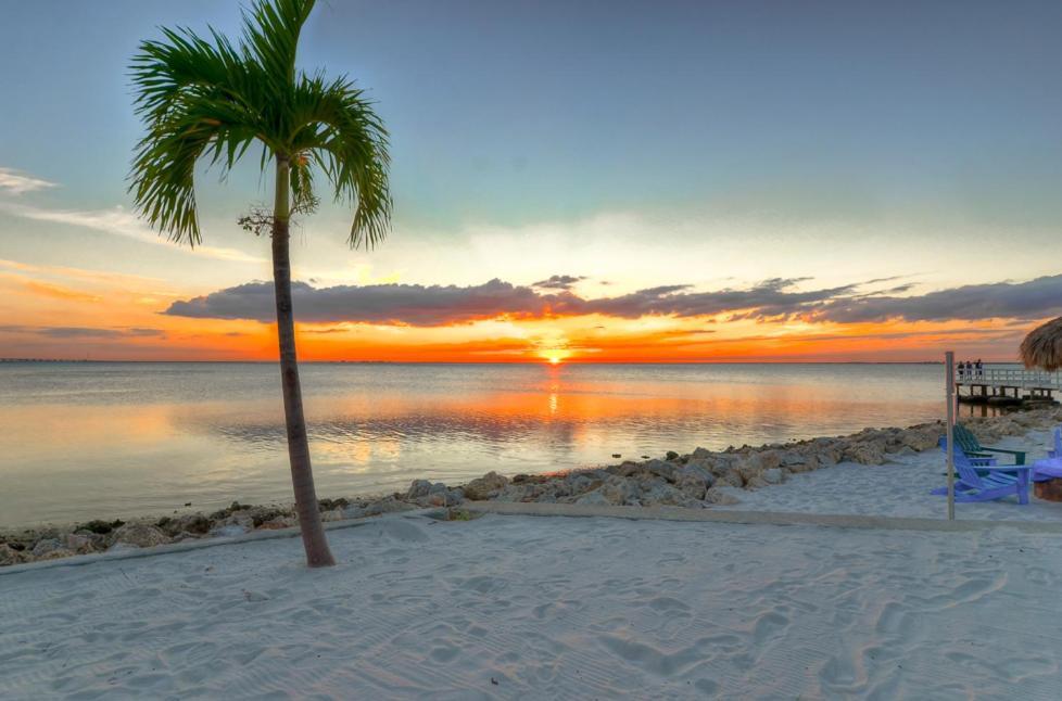 441-Waterfront, Amazing Views, Wifi, Pool And Close To Bucs Stadium Tampa Extérieur photo